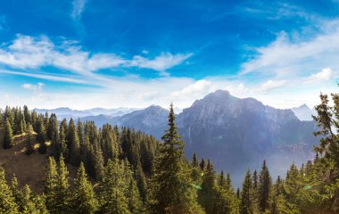 Alpler ve bir yaz günü ormanda Almanya