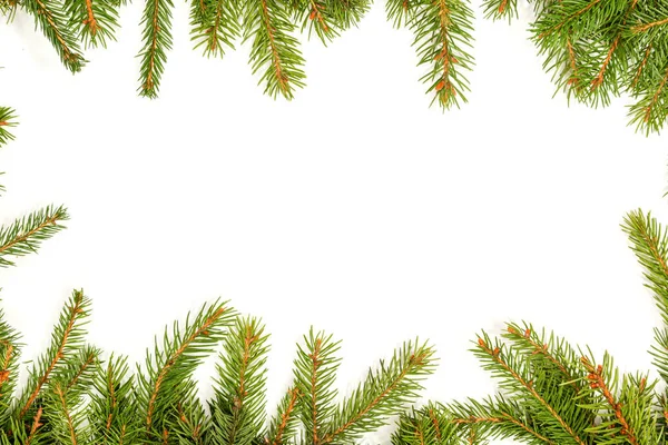 Πράσινο έλατο χριστουγεννιάτικο δέντρο — Φωτογραφία Αρχείου