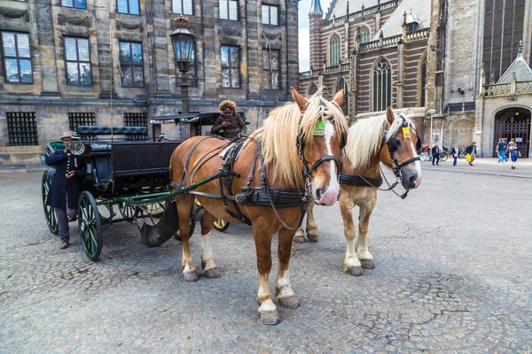 La calèche à cheval à Amsterdam — Photo