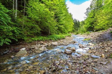 Dağ nehir güzel gününde