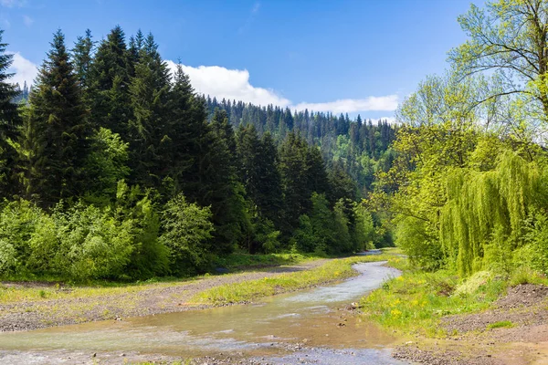 Гірська річка в літній день — стокове фото