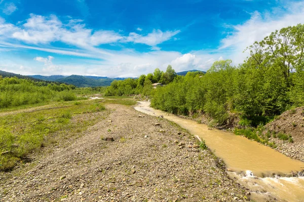 Dry river in summer day — Stock Photo, Image
