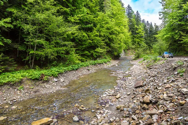 Yazın dağ nehri — Stok fotoğraf