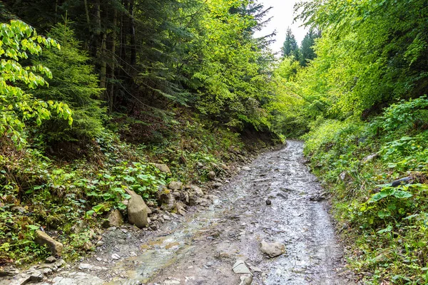 Río de montaña en verano —  Fotos de Stock