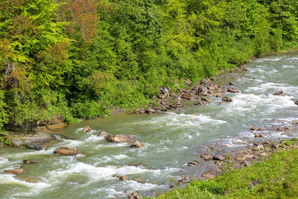 Горная река в летний день — стоковое фото