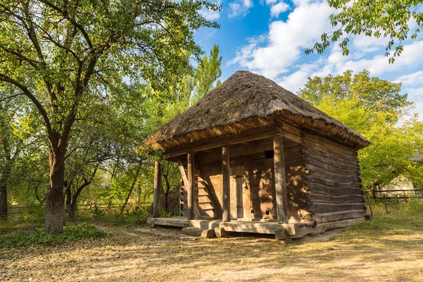 Museum Pirogowo in Kiew — Stockfoto