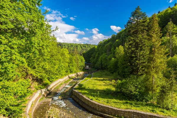 Rivière dans la forêt des Carpates — Photo