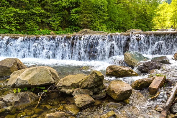 River in Carpathian forest — Stock Photo, Image