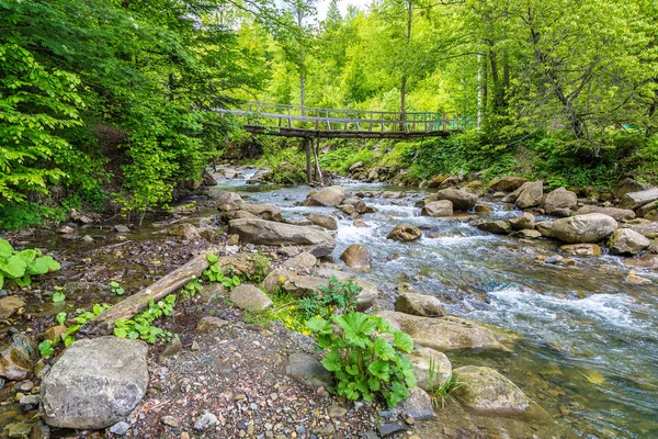 Rivière de montagne dans la forêt des Carpates — Photo