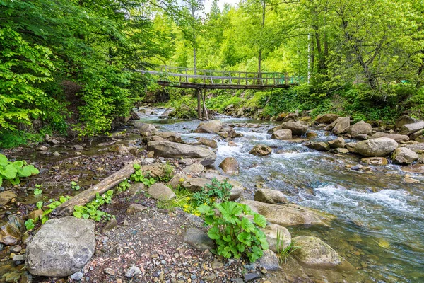 Hegyi folyó Kárpátok erdejében — Stock Fotó