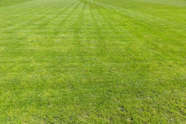 Campo de futebol de grama verde — Fotografia de Stock