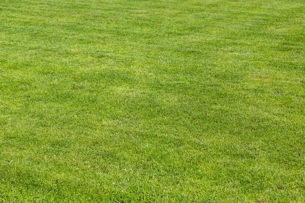 Campo de futebol de grama verde — Fotografia de Stock