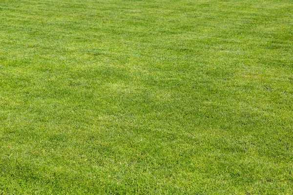 Campo de fútbol de hierba verde — Foto de Stock