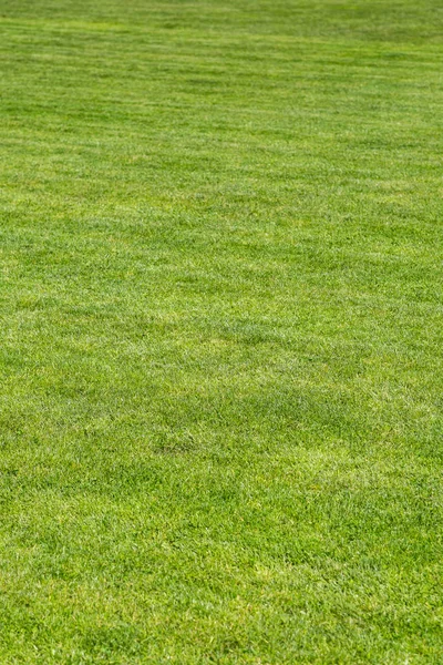 Fußballplatz mit grünem Rasen — Stockfoto