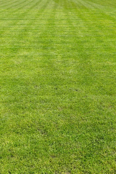Зелена трава футбольне поле — стокове фото