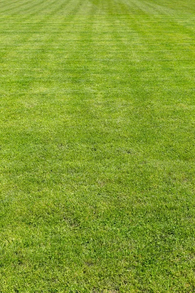 Campo de futebol de grama verde — Fotografia de Stock