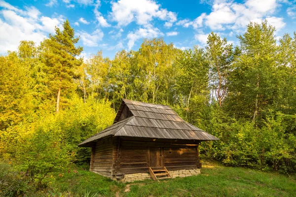 Museum Pirogovo in zomerdag — Stockfoto