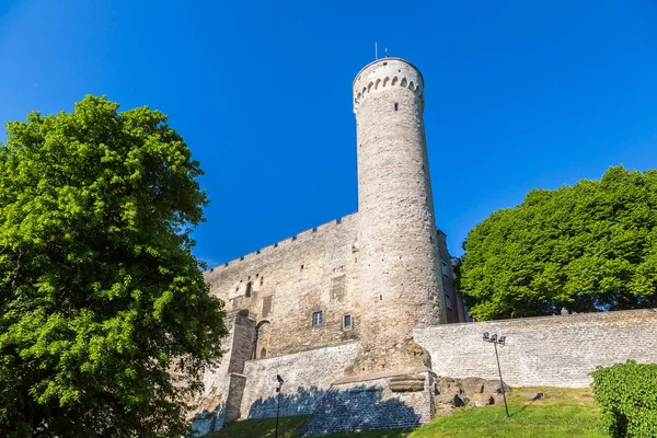 Toompea medieval enTallin — Foto de Stock