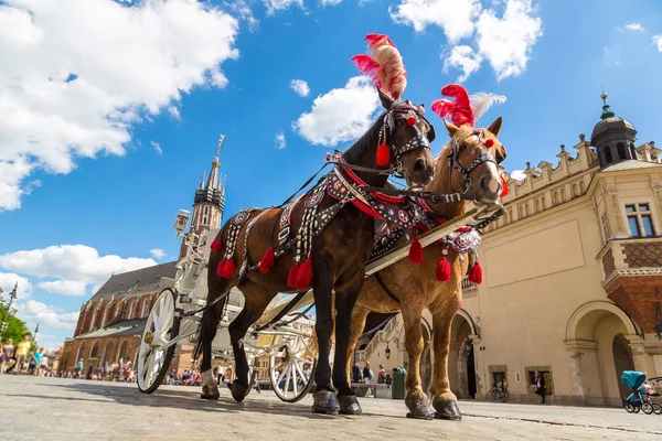 Carros de caballos en la plaza principal — Foto de Stock