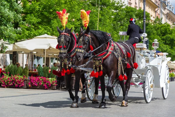 Carruagens de cavalo na praça principal — Fotografia de Stock