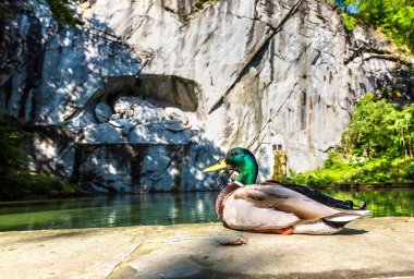lucerne ölen aslan Anıtı