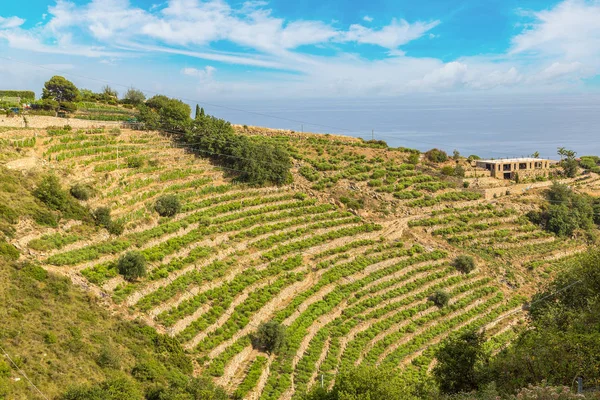 Asjøkysten i Italia – stockfoto