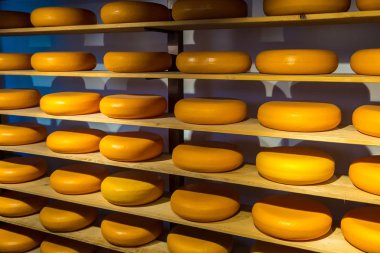 Amsterdam'da peynir tekerlekler