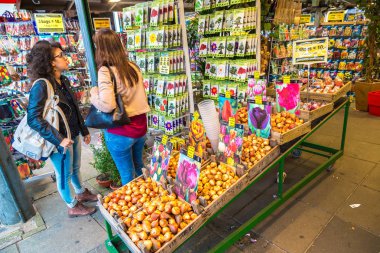 Çiçek pazarı Amsterdam