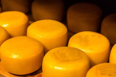 Amsterdam'da peynir tekerlekler