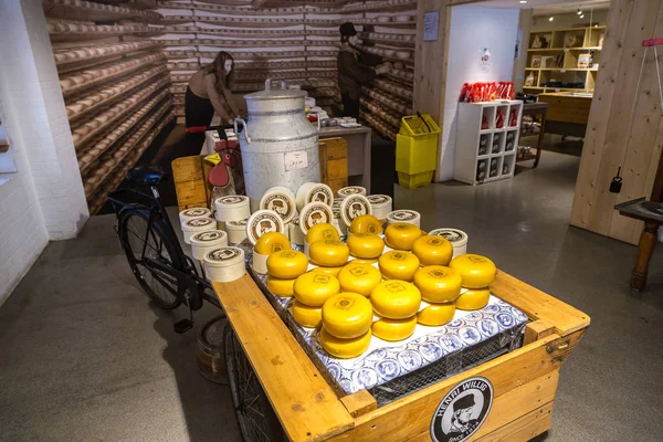 Roues de fromage en magasin Amsterdam — Photo