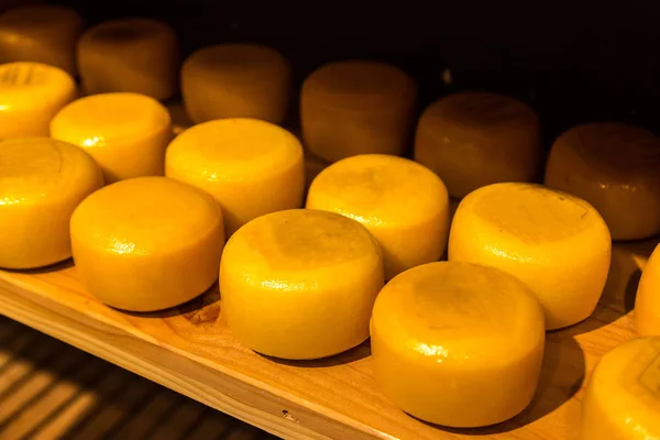 Ruedas de queso en Ámsterdam —  Fotos de Stock