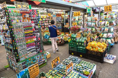 Amsterdam 'da çiçek pazarı