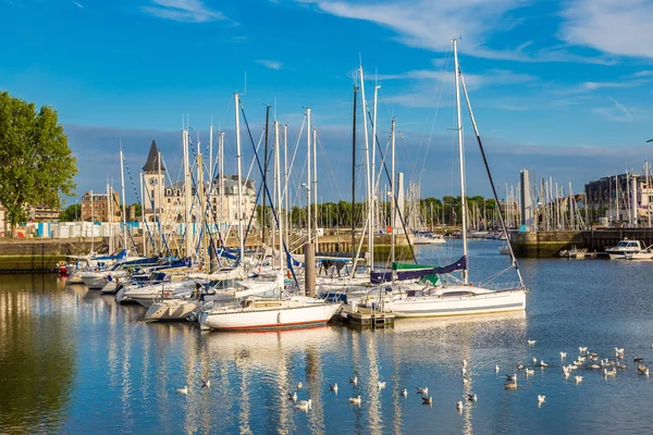 Trouville harbor met vogels — Stockfoto