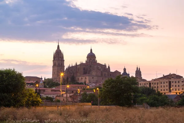 Kathedraal van Salamanca, Spanje — Stockfoto