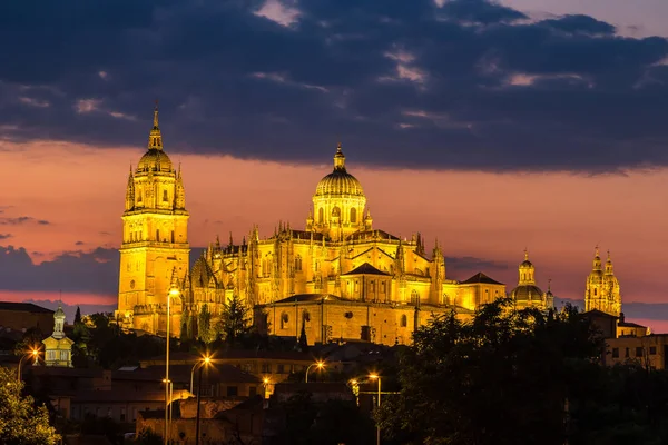 Kathedraal van Salamanca, Spanje — Stockfoto