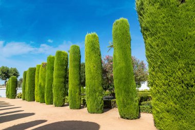 Cordoba Alcazar Bahçe