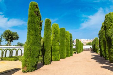 Alcazar de los Reyes Cristianos 'taki bahçe.