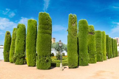 Alcazar de los Reyes Cristianos 'taki bahçe.