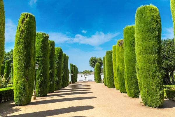 Cordoba Alcazar Bahçe