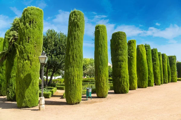 Trädgård på Alcazar i Córdoba — Stockfoto