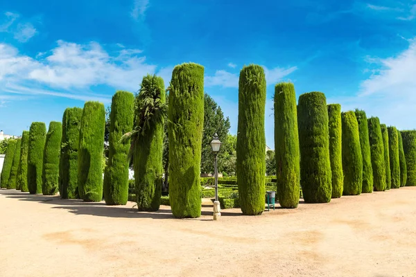 Alcazar de los Reyes Cristianos 'taki bahçe.