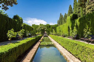 Bahçe ve havuza Alhambra palace