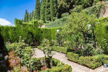 Alhambra Sarayı bahçesinde