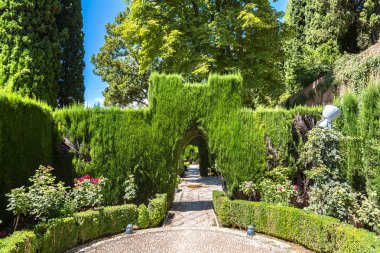 Alhambra Sarayı bahçesinde