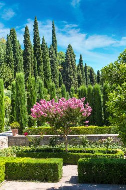 Alhambra Sarayı bahçesinde