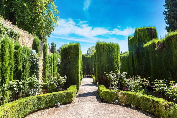 Garden in Alhambra palace — Stock Photo, Image