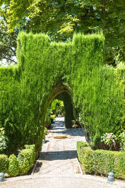 Az Alhambra palace Garden — Stock Fotó