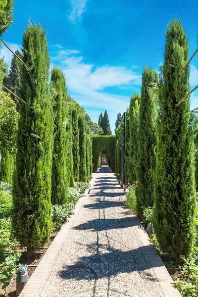 Garden in Alhambra palace — Stock Photo, Image