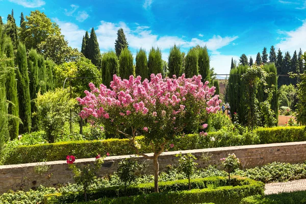Trädgård i Alhambra palace — Stockfoto