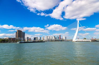 Rotterdam 'daki Erasmus Köprüsü